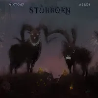 Victony — Risk — обложка